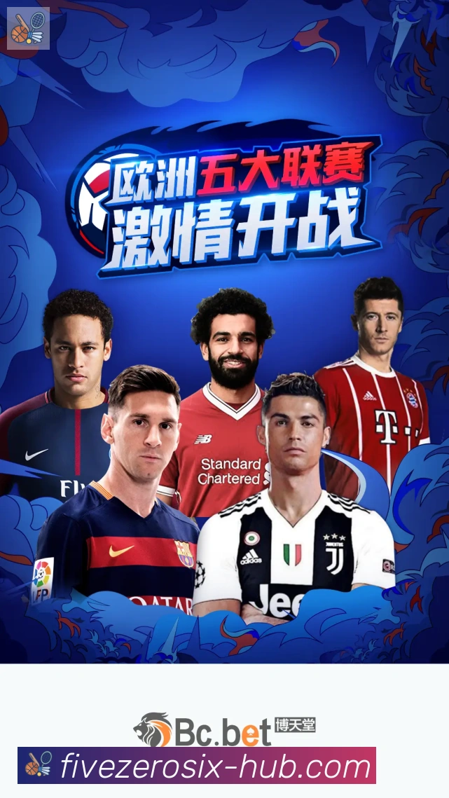 未来规划